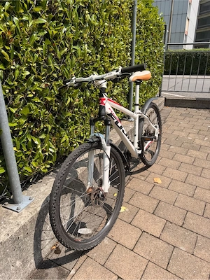 Fuji MTB 26 Zoll - Gr. M - 24 Gang Bild 4