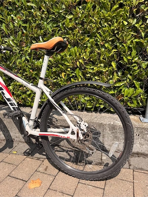Fuji MTB 26 Zoll - Gr. M - 24 Gang Bild 5