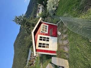 Hühner- Kinderspielhaus Bild 2