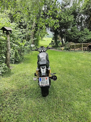Yamaha 1300  Bild 4