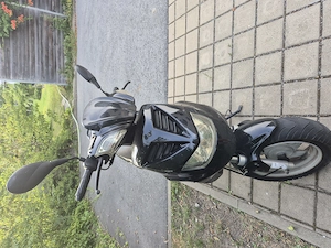 Moped-Roller schwart Bild 4