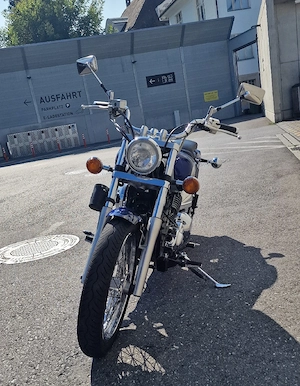 Yamaha XSV 650 Drag Star  Bild 4