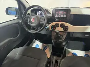 Fiat Panda Bild 6