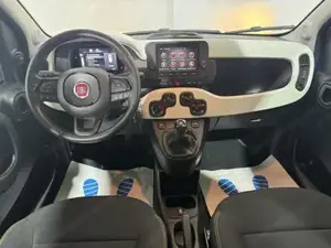 Fiat Panda Bild 7