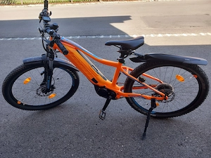 Kinder E Bike