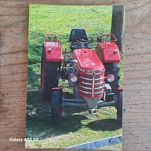 Oltimer Traktor Hürlimann T40 Bild 3