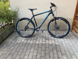 Fahrrad Cross Bild 3