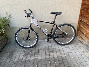 Fahrrad Focus  Bild 3