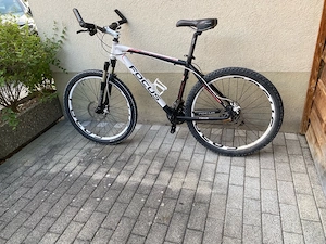 Fahrrad Focus  Bild 4