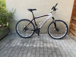 Fahrrad Focus  Bild 5