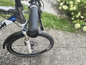 Verkaufe gebrauchtes E-Bike   technisch einwandfrei mit 2 Akkus Bild 3