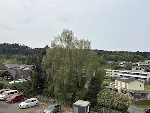 Büro oder Praxis im 1. OG Bild 6