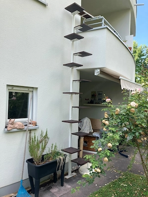 Katzenleiter zu verkaufen Bild 2
