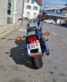 Yamaha XSV 650 Drag Star  Bild 5