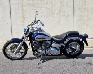Yamaha XSV 650 Drag Star  Bild 2