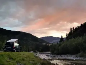 VW T6