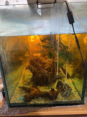 420 Liter Aquarium  Bild 2