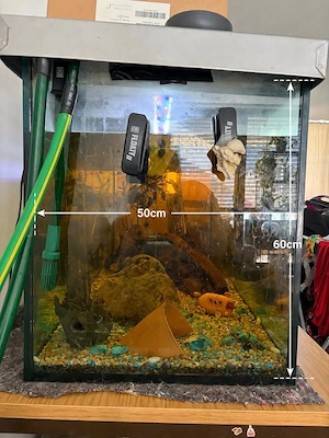420 Liter Aquarium  Bild 3