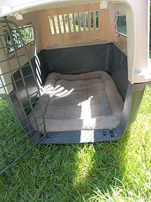 Hundebox mit Decke Bild 5
