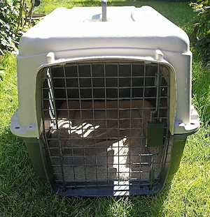 Hundebox mit Decke Bild 4