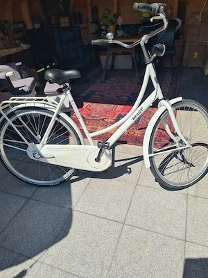 Hollandrad Bild 2