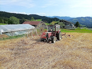 Sternradschwader Bild 4