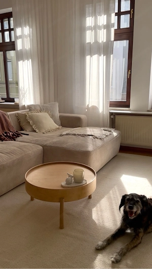 Paar sucht kleines Haus zur Miete Bild 2