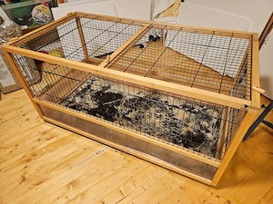 Skyline Meerschweinchen Käfig - günstig abzugeben Bild 2