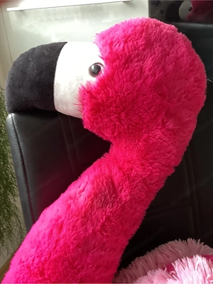 XXL Flamingo Bild 2