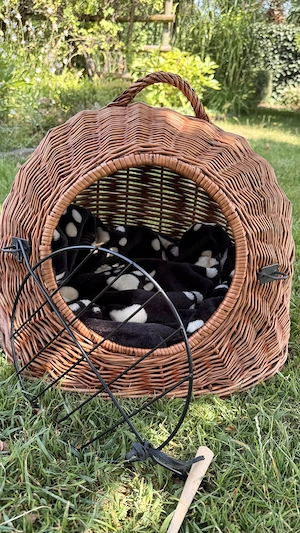 Wunderschöner Katzenkorb (handgeflochtener Weidenkorb)