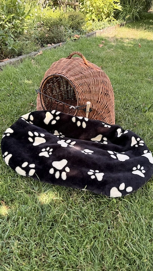 Wunderschöner Katzenkorb (handgeflochtener Weidenkorb) Bild 2