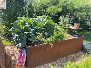 Hochbeet aus Stahl 250x120cm Bild 3
