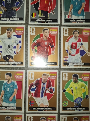 Panini Extrasticker 