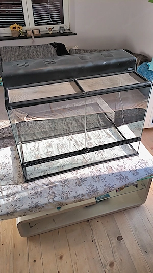Exo Terra Terrarium Large Tall (90x45x60 cm) inkl. Compact Top Abdeckung Bild 5