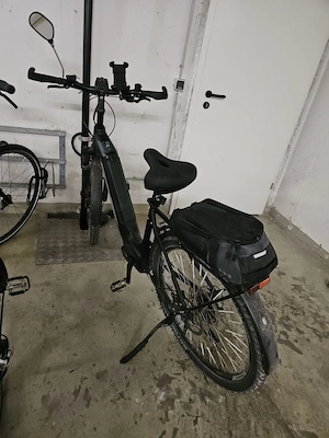 E-Bike Trekking Genesis e xtouring 4.1 Tiefeinstieg Bild 2