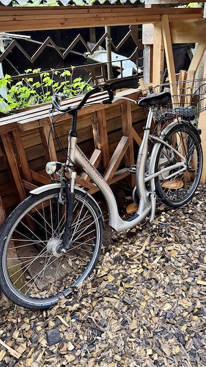 Damenfahrrad mit extrem tiefem Einstieg Bild 2
