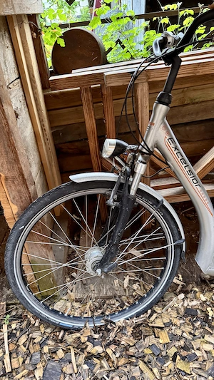 Damenfahrrad mit extrem tiefem Einstieg Bild 3