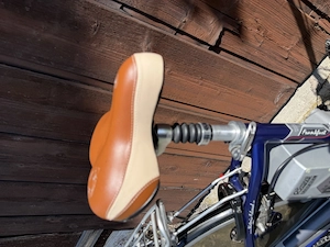Damen City E-Bike in einem super Zustand Bild 2