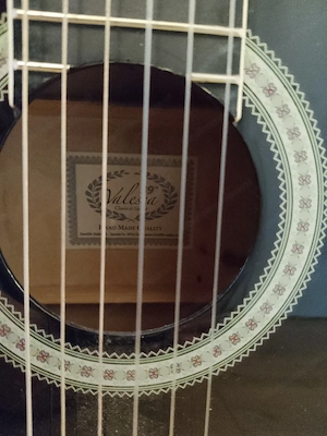Gitarre schwarz Bild 2