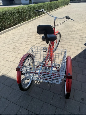 Dreirad für Erwachsene Bild 3