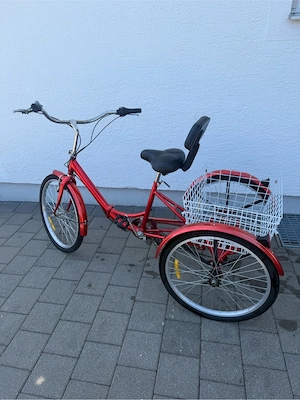 Dreirad für Erwachsene Bild 2