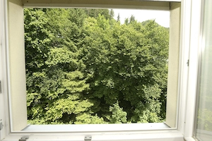Herrlich gelegene  2-Zimmerwohnung zwischen Berg und See in Lochau-Wellenau Bild 12