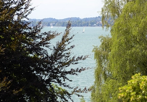 Herrlich gelegene  2-Zimmerwohnung zwischen Berg und See in Lochau-Wellenau Bild 8