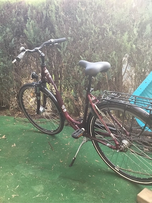 Damenfahrrad Ktm Bild 3