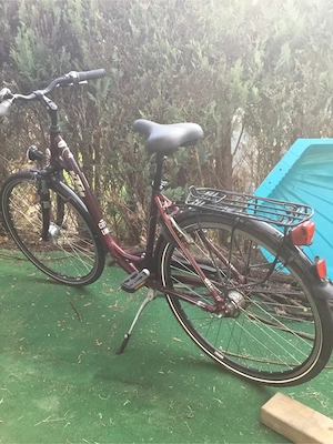 Damenfahrrad Ktm Bild 2