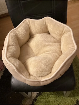 Hunde  Katzenliege Bild 2