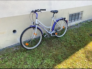 Fahrrad Kettler Bild 3