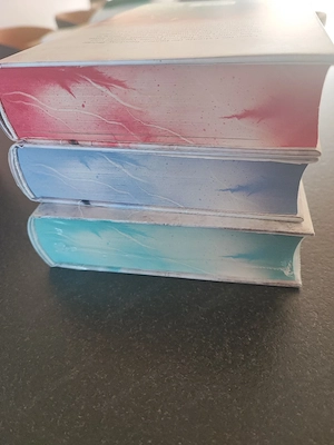 Stolen Trilogie (Emily Bold)   Komplettset mit limitiertem Farbschnitt   NEU & ungelesen  Bild 5