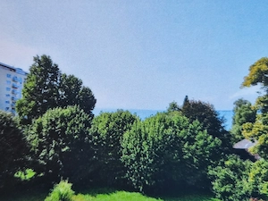 Herrlich gelegene  2-Zimmerwohnung zwischen Berg und See in Lochau-Wellenau Bild 9