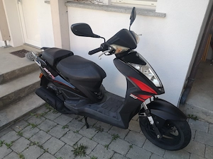 Roller Scooter Moped Kymco 50ccm Bild 2